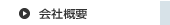 ЊTv