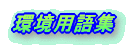 pW